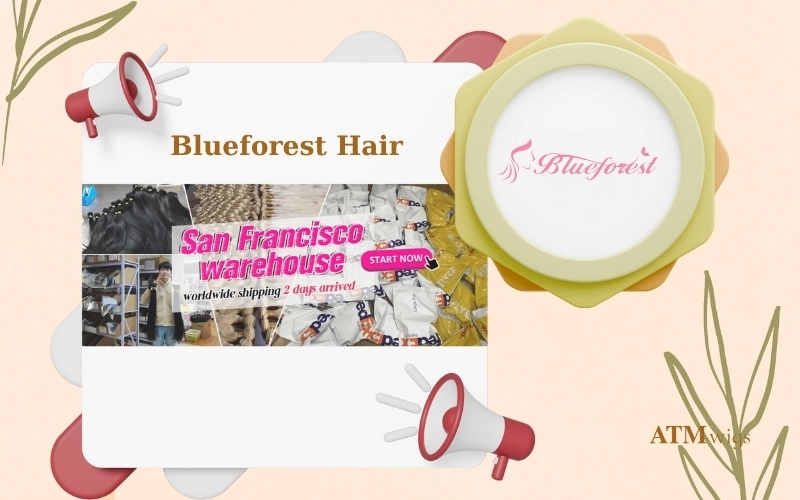 Qingdao Blueforest Hair Qingdao Blueforest Hair